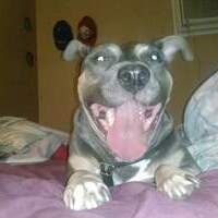 Mclovinhorsey's Avatar