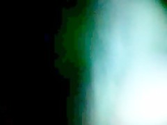 Domesticando a la Mascota entre los Tres