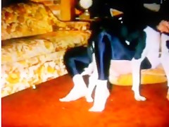 Un Perro Mochila se la encandila
