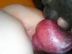 Thumb 16