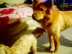 La Veterinaria se pone cachonda