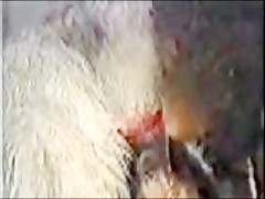 Thumb 17
