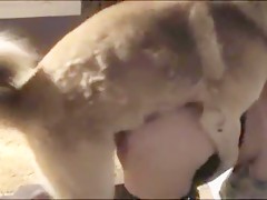Thumb 12