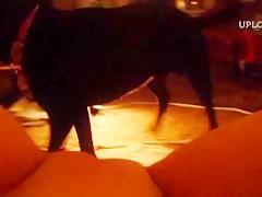 Japo calentita se lleva rabos a la boca