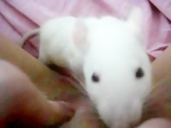 Thumb 13