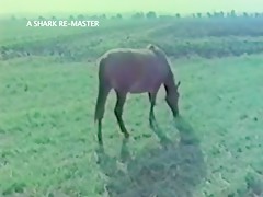 Seguro que la desvirgó el perro