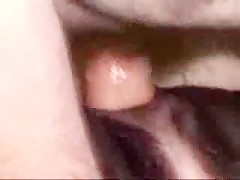 Rubia follada por podenco