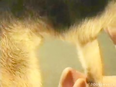 Thumb 17