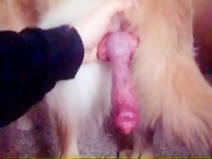 Thumb 10