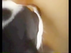 Thumb 16