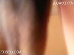 Thumb 8