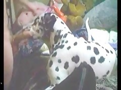 coño rebozando semen