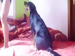 Como inflar una colchoneta