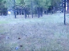 La herramienta para abrirte el culo