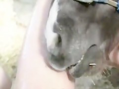 Thumb 11