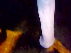 Pancho dog sex