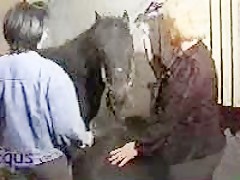 Pinchando con la cola