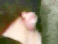 El puerco folla duro
