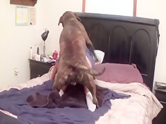 Tacones perrunos
