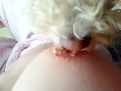 Thumb 11