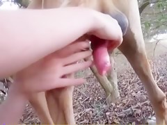 Morena folla con su perro en el jardin