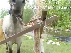 estallido