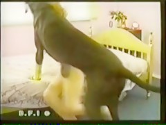 perro con buenorra