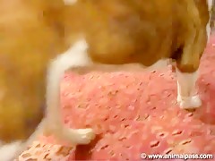 Thumb 7