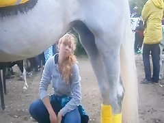 Horse piss - Hispajotes.com