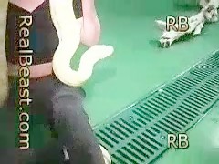 Snake game