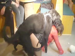 Fiesta con el perro