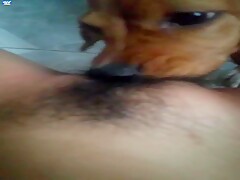Thumb 3